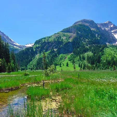 Alpenland 3* Гштад